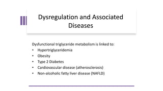 Lipid Metabolism presentation for physiotherapist | PDF