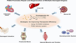 Lipid Metabolism presentation for physiotherapist | PDF