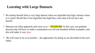 Efficient Large Scale Machine Learning: Gradient Descent Techniques and ...