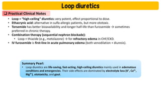 Loop Diuretics: Mechanisms, Uses, and Clinical Management | PDF