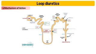 Loop Diuretics: Mechanisms, Uses, and Clinical Management | PDF
