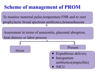Comprehensive Overview of Preterm Labour and PROM Management in ...