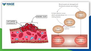 Comprehensive Overview of Blood Components and Their Functions | PPTX
