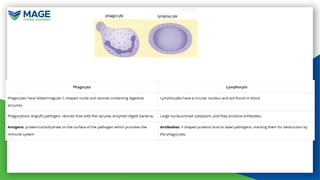 Comprehensive Overview of Blood Components and Their Functions | PPTX