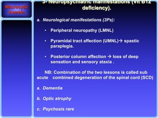 Comprehensive Overview of Macrocytic Anemia: Causes, Diagnosis, and ...