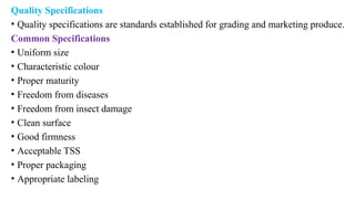 Quality Specifications
• Quality specifications are standards established for grading and marketing produce.
Common Specifications
• Uniform size
• Characteristic colour
• Proper maturity
• Freedom from diseases
• Freedom from insect damage
• Clean surface
• Good firmness
• Acceptable TSS
• Proper packaging
• Appropriate labeling
 