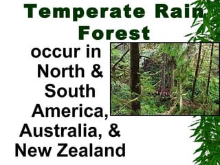 Temperate Rain
      Forest
 occur in
  North &
   South
  America,
Australia, &
New Zealand
 