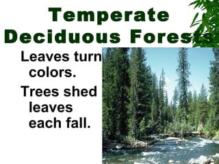 Temperate
Deciduous Forests
 Leaves turn
  colors.
 Trees shed
  leaves
  each fall.
 