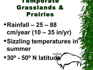 Temperate
    Grasslands &
      Prairies
Rainfall – 25 – 88
 cm/year (10 – 35 in/yr)
Sizzling temperatures in

 summer
                   buffalo
30º - 50º N latitude
 