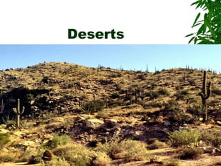 Deserts
 