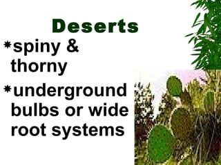 Deserts
spiny &
 thorny
underground
 bulbs or wide
 root systems
 