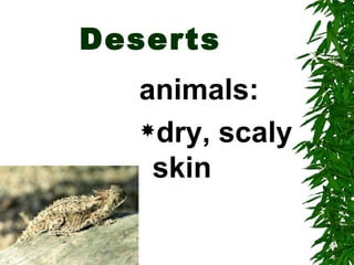 Deserts
   animals:
   dry, scaly

    skin
 