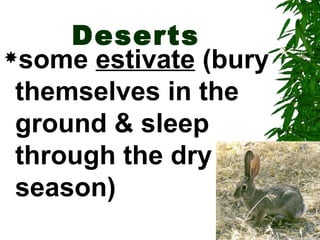 Deserts
some estivate (bury

 themselves in the
 ground & sleep
 through the dry
 season)
 