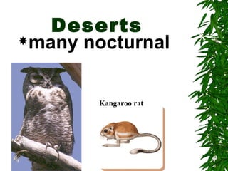 Deserts
many nocturnal



        Kangaroo rat
 