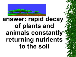 answer: rapid decay
    of plants and
 animals constantly
 returning nutrients
      to the soil
 