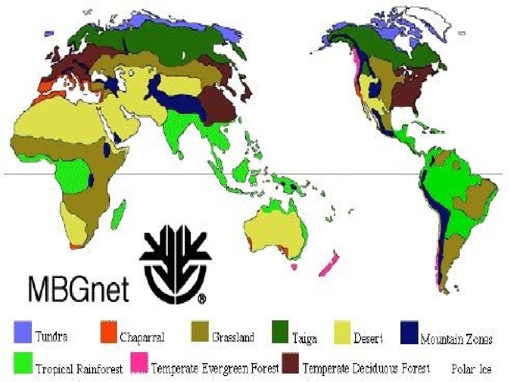 Terrestrial biomes