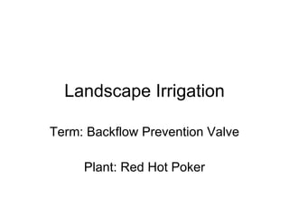 Landscape Irrigation Term: Backflow Prevention Valve Plant: Red Hot Poker 