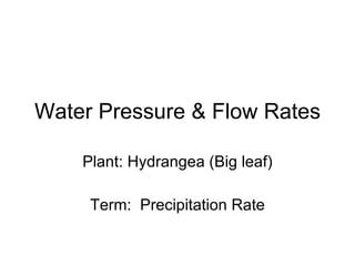 Water Pressure & Flow Rates Plant: Hydrangea (Big leaf) Term:  Precipitation Rate 