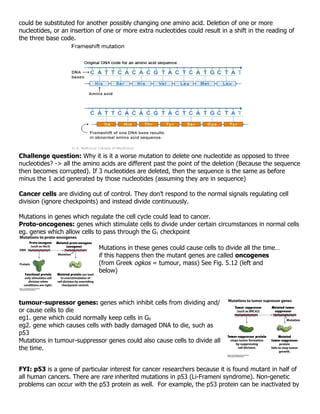 could be substituted for another possibly changing one amino acid. Deletion of one or more
nucleotides, or an insertion of one or more extra nucleotides could result in a shift in the reading of
the three base code.




Challenge question: Why it is it a worse mutation to delete one nucleotide as opposed to three
nucleotides? -> all the amino acids are different past the point of the deletion (Because the sequence
then becomes corrupted). If 3 nucleotides are deleted, then the sequence is the same as before
minus the 1 acid generated by those nucleotides (assuming they are in sequence)

Cancer cells are dividing out of control. They don’t respond to the normal signals regulating cell
division (ignore checkpoints) and instead divide continuously.

Mutations in genes which regulate the cell cycle could lead to cancer.
Proto-oncogenes: genes which stimulate cells to divide under certain circumstances in normal cells
eg. genes which allow cells to pass through the G1 checkpoint

                             Mutations in these genes could cause cells to divide all the time…
                             if this happens then the mutant genes are called oncogenes
                             (from Greek ogkos = tumour, mass) See Fig. 5.12 (left and
                             below)




tumour-supressor genes: genes which inhibit cells from dividing and/
or cause cells to die
eg1. gene which could normally keep cells in G0
eg2. gene which causes cells with badly damaged DNA to die, such as
p53
Mutations in tumour-suppressor genes could also cause cells to divide all
the time.


FYI: p53 is a gene of particular interest for cancer researchers because it is found mutant in half of
all human cancers. There are rare inherited mutations in p53 (Li-Frameni syndrome). Non-genetic
problems can occur with the p53 protein as well. For example, the p53 protein can be inactivated by
 
