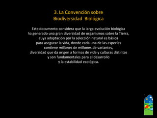 3. La Convención sobre 
Biodiversidad Biológica 
Este documento considera que la larga evolución biológica 
ha generado una gran diversidad de organismos sobre la Tierra, 
cuya adaptación por la selección natural es básica 
para asegurar la vida, donde cada una de las especies 
contiene millones de millones de variantes, 
diversidad que da origen a formas de vida y culturas distintas 
y son fundamentales para el desarrollo 
y la estabilidad ecológica.  