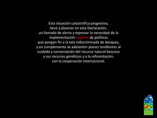 Esta situación catastrófica progresiva, 
llevó a plasmar en esta Declaración, 
un llamado de alerta y expresar la necesidad de la 
implementación urgentede políticas 
que pongan fin a la tala indiscriminada de bosques, 
y en complemento se adelanten planes tendientes al 
cuidado y conservación del recurso natural boscoso 
y sus recursos genéticos y a la reforestación, 
con la cooperación internacional.  