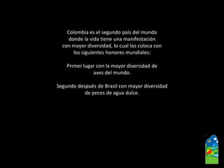 Colombia es el segundo país del mundo 
donde la vida tiene una manifestación 
con mayor diversidad, lo cual los coloca con 
los siguientes honores mundiales: 
Primer lugar con la mayor diversidad de 
aves del mundo. 
Segundo después de Brasil con mayor diversidad 
de peces de agua dulce.  