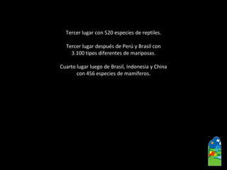Tercer lugar con 520 especies de reptiles. 
Tercer lugar después de Perú y Brasil con 
3.100 tipos diferentes de mariposas. 
Cuarto lugar luego de Brasil, Indonesia y China 
con 456 especies de mamíferos.  