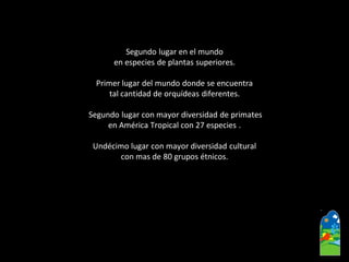 Segundo lugar en el mundo 
en especies de plantas superiores. 
Primer lugar del mundo donde se encuentra 
tal cantidad de orquídeas diferentes. 
Segundo lugar con mayor diversidad de primates 
en América Tropical con 27 especies . 
Undécimo lugar con mayor diversidad cultural 
con mas de 80 grupos étnicos.  