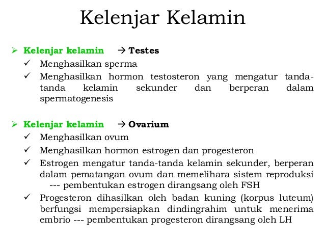 9 3. sistem koordinasi