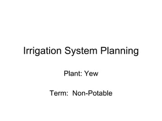 Irrigation System Planning Plant: Yew Term:  Non-Potable 
