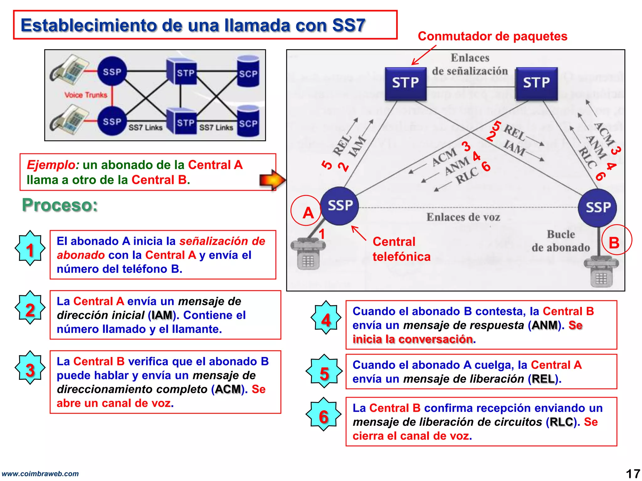 Establecimiento de una llamada con SS7Conmutador de paquetes5233454Ejemplo: un abonado de la Central A llama a otro de la Central B.626Proceso:A1BCentral telefónica1El abonado A inicia la señalización de abonado con la Central A y envía el número del teléfono B.2La Central A envía un mensaje de dirección inicial (IAM). Contiene el número llamado y el llamante.4Cuando el abonado B contesta, la Central B envía un mensaje de respuesta (ANM). Se inicia la conversación.3La Central B verifica que el abonado B puede hablar y envía un mensaje de direccionamiento completo (ACM). Se abre un canal de voz.5Cuando el abonado A cuelga, la Central A envía un mensaje de liberación (REL). 6La Central B confirma recepción enviando un mensaje de liberación de circuitos (RLC). Se cierra el canal de voz.17www.coimbraweb.com