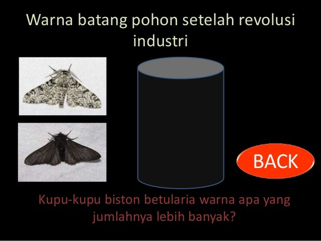 9 4. kelangsungan hidup organisme