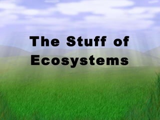 The Stuff of Ecosystems 
