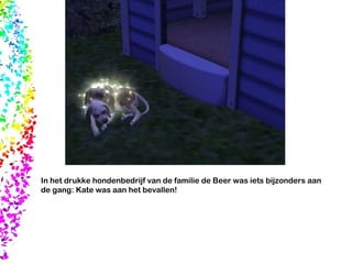 In het drukke hondenbedrijf van de familie de Beer was iets bijzonders aan de gang: Kate was aan het bevallen! 