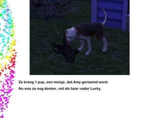 Ze kreeg 1 pup, een meisje, dat Amy genoemd werd.  Nu was ze nog donker, net als haar vader Lucky.  
