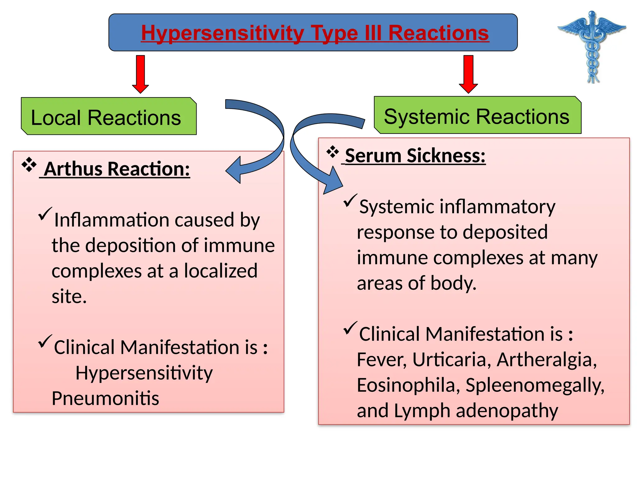 Hypersensitivity Type III Reactions
Systemic Reactions
Local Reactions
 Arthus Reaction:
Inflammation caused by
the deposition of immune
complexes at a localized
site.
Clinical Manifestation is :
Hypersensitivity
Pneumonitis
 Serum Sickness:
Systemic inflammatory
response to deposited
immune complexes at many
areas of body.
Clinical Manifestation is :
Fever, Urticaria, Artheralgia,
Eosinophila, Spleenomegally,
and Lymph adenopathy
 