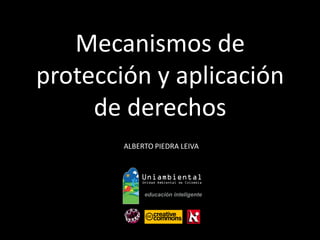 Mecanismos de 
protección y aplicación 
de derechos 
ALBERTO PIEDRA LEIVA  