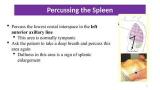 9- abdomen_assesssment and physical exam for adults | PPT