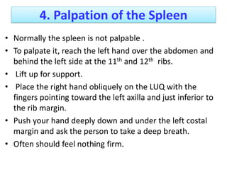 9- Abdominal Assessmenuuuuut final (1).pdf