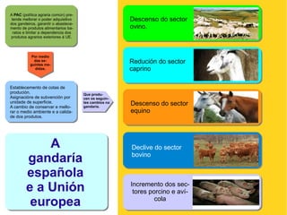A produtividade era baixa. No século XX Prodúcese o éxodo rural. 