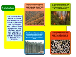 Progresiva  industrializa- 