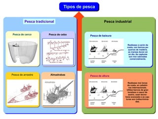 ción da sociedade. 
