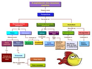 da rendibilidade. Actualmente Agricultura actual Actualmente existen en Es- 