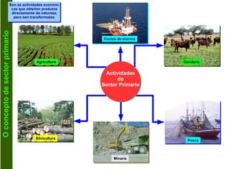 O concepto de sector primario Son as actividades económi- cas que obteñen produtos directamente da natureza, pero sen transformalos. Actividades do Sector Primario Agricultura Fontes de enerxía Gandaría Silvicultura Minaría Pesca 