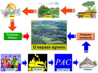 O espazo agrario Solos Relevo Clima Factores físicos Poboación Tecnoloxía Política agraria Tradicións Factores humanos 