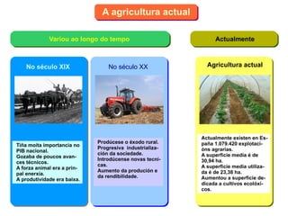 A agricultura actual Variou ao longo do tempo No século XIX Tiña moita importancia no 