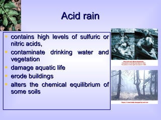 Acid rain contains high levels of sulfuric or nitric acids ,  contaminate drinking water and vegetation damage aquatic life erode buildings a lters the chemical equilibrium of some soils   
