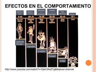 EFECTOS EN EL COMPORTAMIENTO Aparenta Normal Impedido Confuso Estupor Coma Muerto Mareado y Delirando Ausente y Deprimido Muy Borracho Alegre y Travieso Sobrio y Serio http://www.youtube.com/watch?v=Opif-5AxZTg&feature=channel 