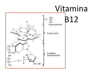 Vitamina
B12
 