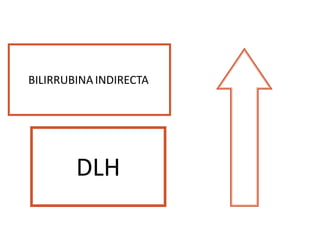 BILIRRUBINAINDIRECTA
DLH
 